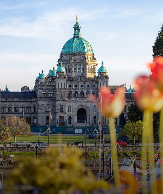 Breakdown of British Columbia's plan to ban certain single-use plastics