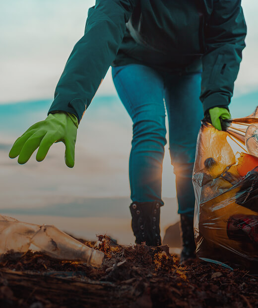 Various plastic and food waste