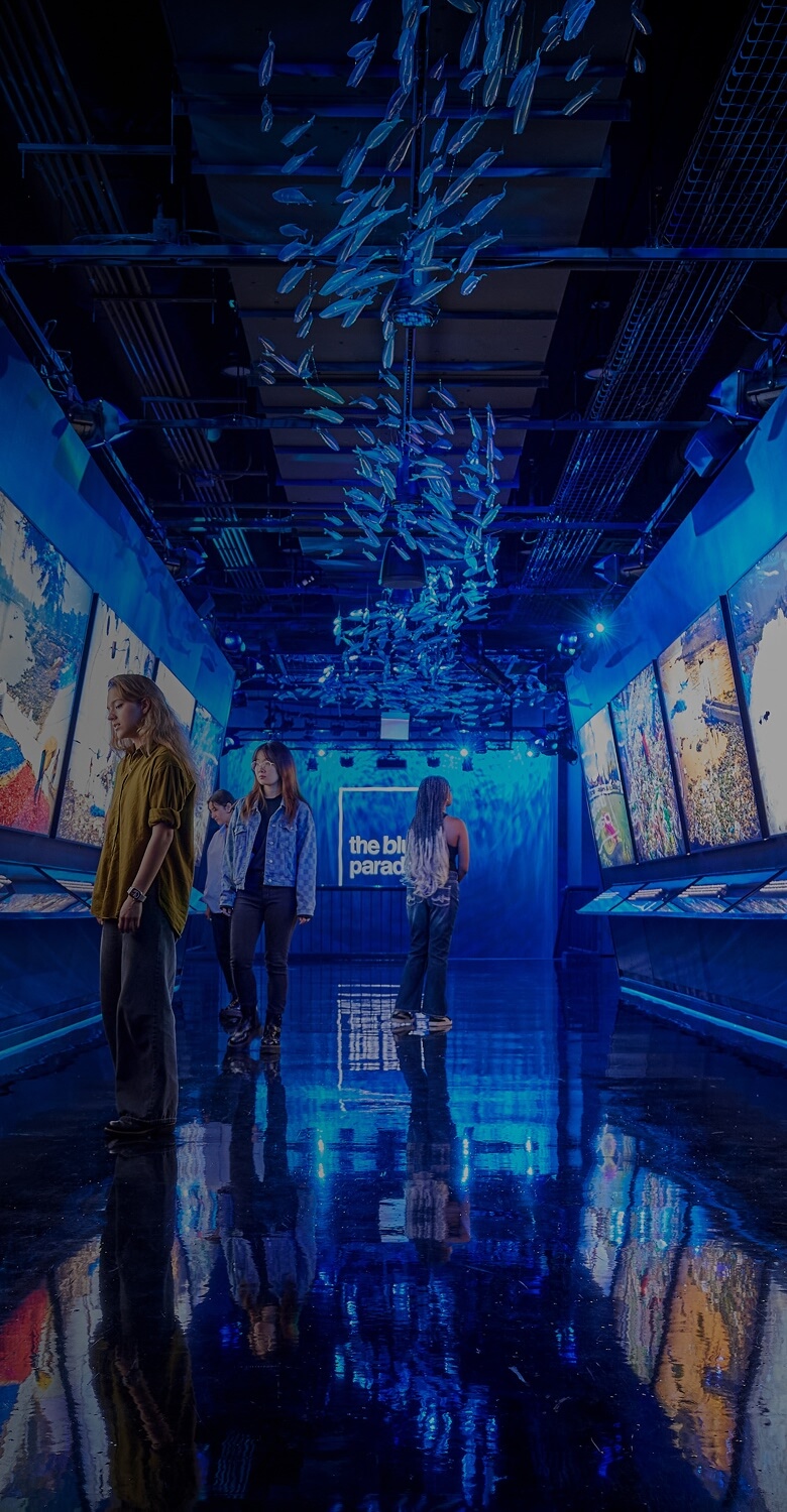 Plastic bags and cups pollute the ocean, highlighting the plastic waste crisis.