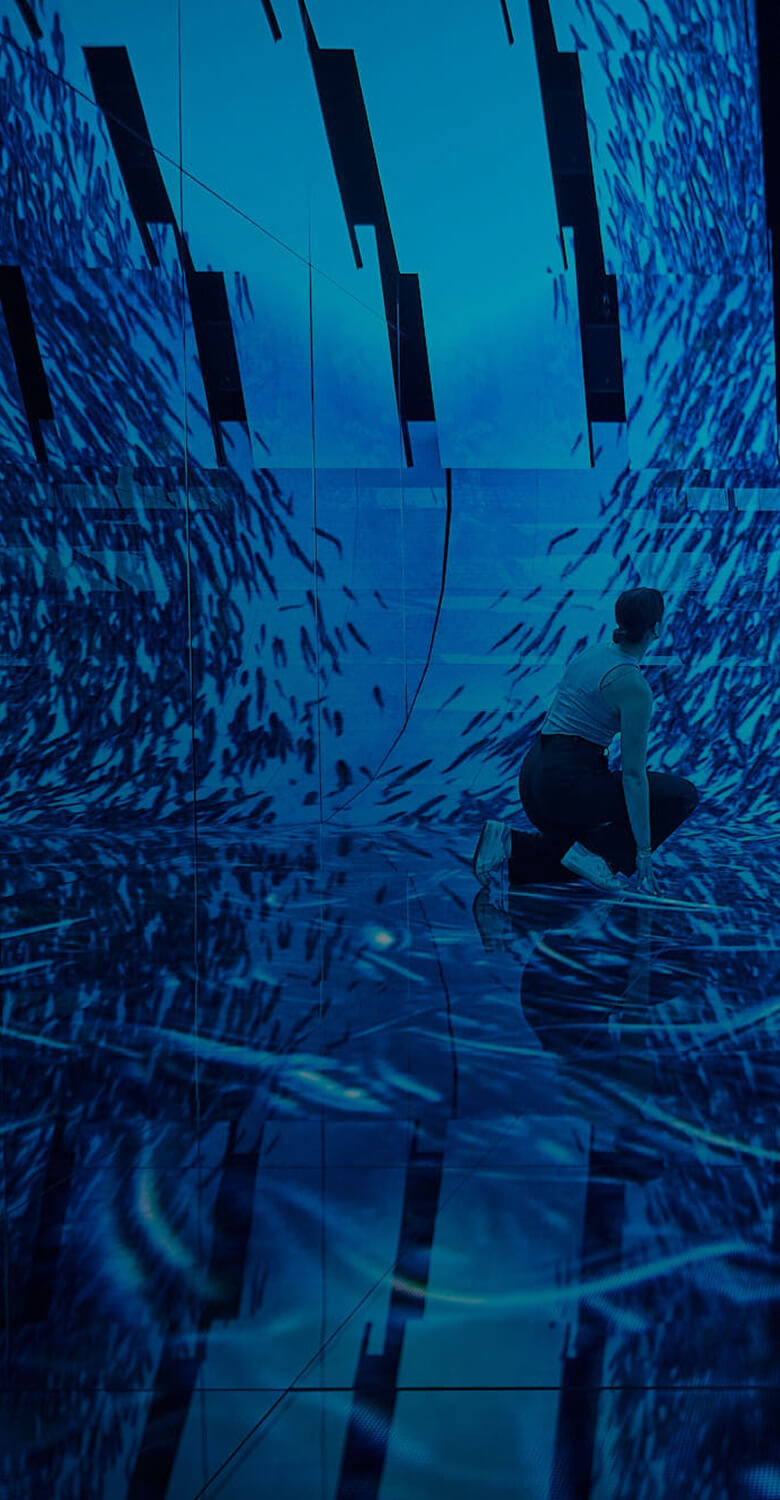 Discarded fishing nets and plastic debris pollute the water, showing the impact of waste.