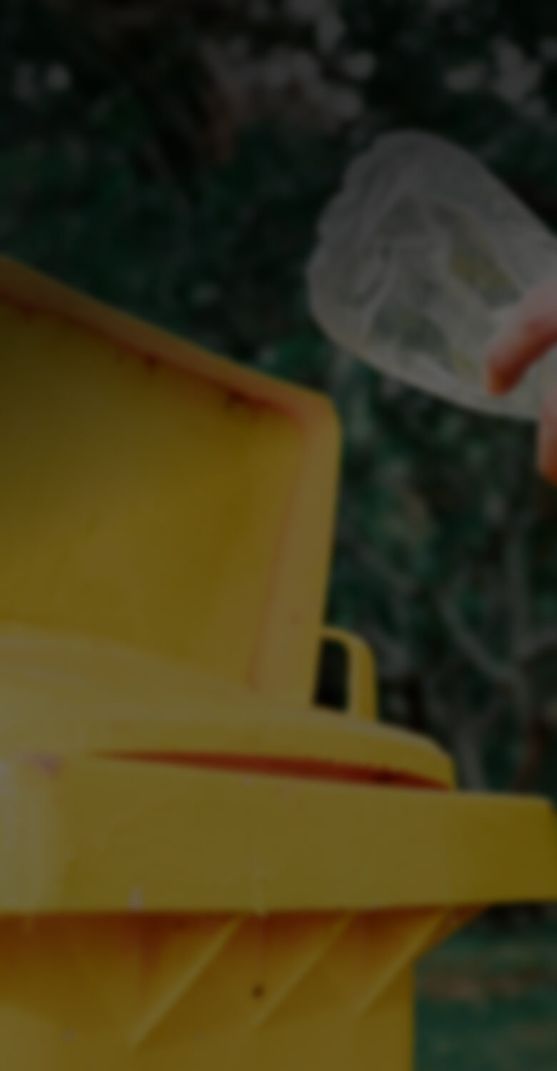 People making sustainable choices and reducing plastic waste in daily life